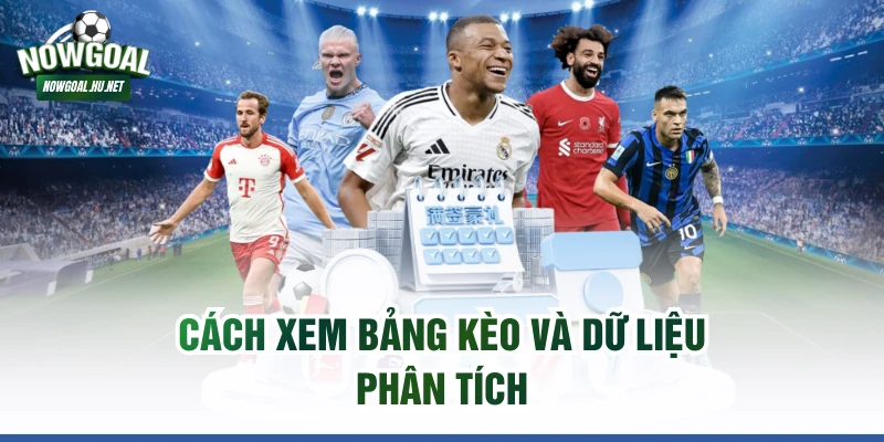 Cách xem bảng kèo và dữ liệu phân tích