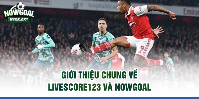 Giới thiệu chung về Livescore123 và Nowgoal